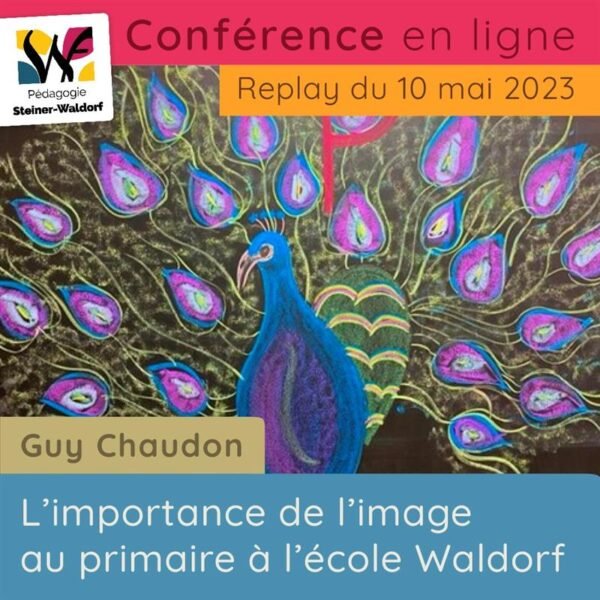 Replay : L'importance de l'image au primaire à l'école Waldorf