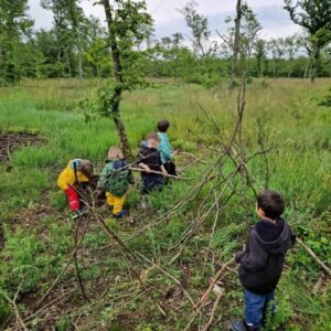 Pédagogie par la nature : des enfants se promènent