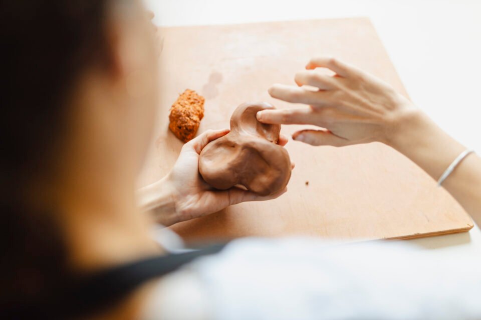 Conférence pédagogique « Soutien à la parentalité pour comprendre la pédagogie Steiner-Waldorf » – Ecole Waldala (68)