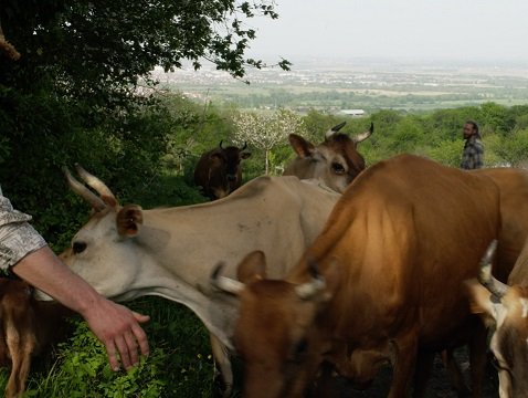 Projection du film « Le métier d’agriculteur.ice en biodynamie et sa formation » – Strasbourg (67)