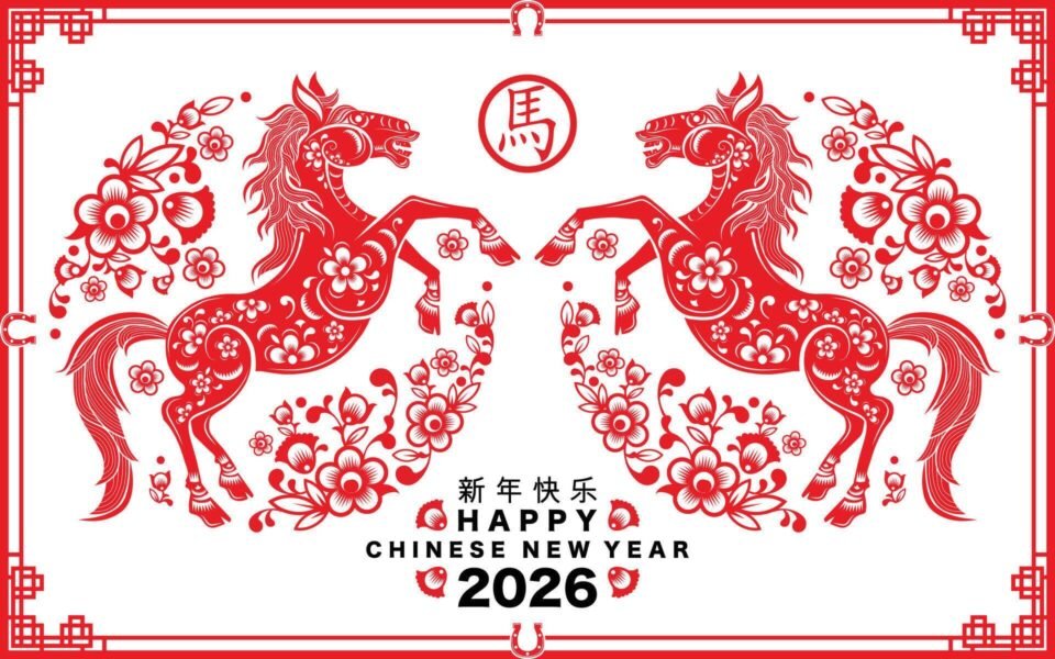 Stage Vacances d&rsquo;hiver – Ecole des Sorgues (84)