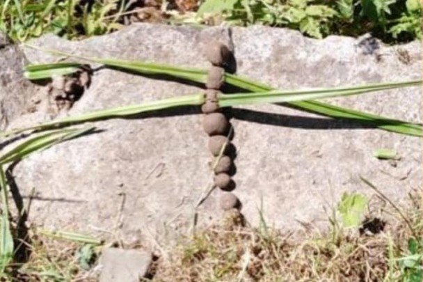 Formation Comptines Animaux (contines POME) – à l&rsquo;Ecole Waldala (68)